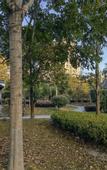 Туры в отель Floral Hotel · Yongjingyuan Hotel(Tunxi Old Street store)