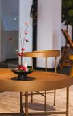 Туры в отель Floral Hotel·Ningbo Ciqili Hotel (Cicheng Ancient County City Branch)