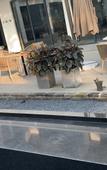 Туры в отель Floral Hotel·Ningbo Ciqili Hotel (Cicheng Ancient County City Branch)