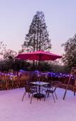 Туры в отель Floral Hotel ·Yanshu Hotel