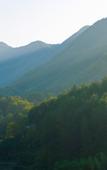 Туры в отель Floral Hotel·Anji does not need to return to the hotel
