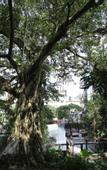 Туры в отель Yosemite Inn Dapeng Shenzhen