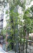 Туры в отель Yosemite Inn Dapeng Shenzhen