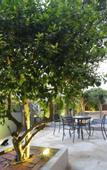 Туры в отель Yosemite Inn Dapeng Shenzhen