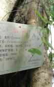 Туры в отель Yosemite Inn Dapeng Shenzhen
