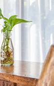 Туры в отель Yosemite Inn Dapeng Shenzhen