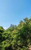 Туры в отель Yosemite Inn Dapeng Shenzhen