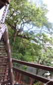 Туры в отель Yosemite Inn Dapeng Shenzhen