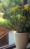 Туры в отель Yosemite Inn Dapeng Shenzhen