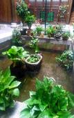 Туры в отель Floral Hotel · Yidetang Hotel