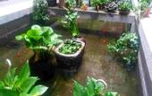 Туры в отель Floral Hotel · Yidetang Hotel