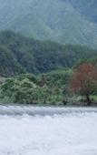 Туры в отель Floral Hotel · shuilushan residential hotel  (Wuyuan)