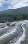 Туры в отель Floral Hotel · shuilushan residential hotel  (Wuyuan)