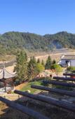 Туры в отель Floral Hotel · shuilushan residential hotel  (Wuyuan)