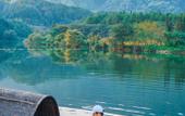 Туры в отель Floral Hotel · shuilushan residential hotel  (Wuyuan)