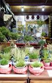 Туры в отель 100 years Lanyuan B&B (Nanjing Gaochun Old Street)