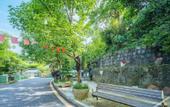 Туры в отель Flower Hotel ·Zuiling Hotel (Shaoxing Wangtan store)