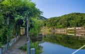 Туры в отель Flower Hotel ·Zuiling Hotel (Shaoxing Wangtan store)