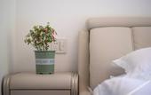Туры в отель Flower Hotel ·Zuiling Hotel (Shaoxing Wangtan store)