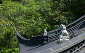 Туры в отель Flower Hotel ·Zuiling Hotel (Shaoxing Wangtan store)
