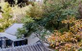 Туры в отель Floral Lux Hotel · Jinan see mountain knot Lu Hotel