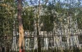 Туры в отель Floral Lux Hotel · Jinan see mountain knot Lu Hotel