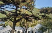 Туры в отель Floral Lux Hotel · Jinan see mountain knot Lu Hotel