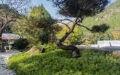 Туры в отель Floral Lux Hotel · Jinan see mountain knot Lu Hotel