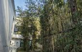 Туры в отель Floral Lux Hotel · Jinan see mountain knot Lu Hotel