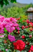 Туры в отель Floral Hotel·Moganshan Jianyi Hotel