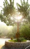 Туры в отель Floral Hotel·Moganshan Jianyi Hotel