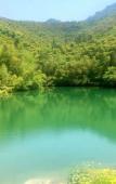 Туры в отель Floral Hotel·Moganshan Jianyi Hotel