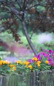 Туры в отель Floral Hotel·Moganshan Jianyi Hotel