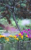 Туры в отель Floral Hotel·Moganshan Jianyi Hotel