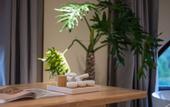 Туры в отель Shanghai ·  Gu Village Resort Estate