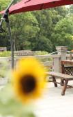 Туры в отель Floral Hotel·Anji Flower Non Mist Hotel (Cloud Grassland Store)