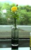 Туры в отель Floral Hotel·Anji Flower Non Mist Hotel (Cloud Grassland Store)