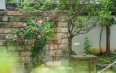 Туры в отель Floral Hotel·Xianju Shuangxi hotel (Wuyuan Scenic Area Moon Bay)