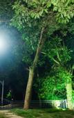 Туры в отель Floral Hotel·Xianju Shuangxi hotel (Wuyuan Scenic Area Moon Bay)
