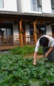 Туры в отель Floral Hotel·Xianju Shuangxi hotel (Wuyuan Scenic Area Moon Bay)