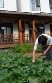 Туры в отель Floral Hotel·Xianju Shuangxi hotel (Wuyuan Scenic Area Moon Bay)