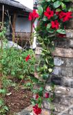 Туры в отель Floral Hotel·Xianju Shuangxi hotel (Wuyuan Scenic Area Moon Bay)