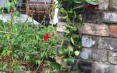 Туры в отель Floral Hotel·Xianju Shuangxi hotel (Wuyuan Scenic Area Moon Bay)