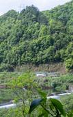 Туры в отель Floral Hotel·Xianju Shuangxi hotel (Wuyuan Scenic Area Moon Bay)