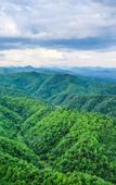 Туры в отель Floral Hotel·Xianju Shuangxi hotel (Wuyuan Scenic Area Moon Bay)