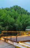 Туры в отель Floral Hotel · Yi Jia Mogan Mountain hotel