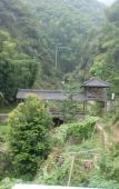 Туры в отель Floral Hotel · Yi Jia Mogan Mountain hotel