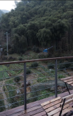 Туры в отель Floral Hotel · Yi Jia Mogan Mountain hotel