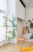 Туры в отель Floral Hotel · Shengsi nanfengli hotel