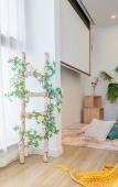 Туры в отель Floral Hotel · Shengsi nanfengli hotel